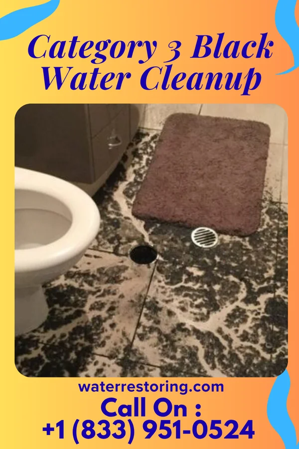 Category 3 Black Water Cleanup in Ionia, IA