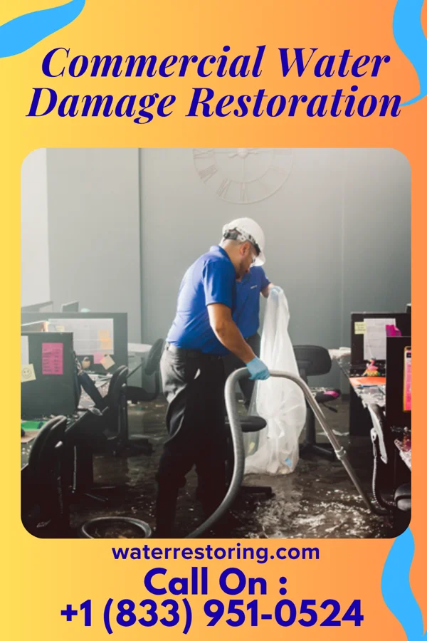 Commercial Water Damage Restoration in Ionia, IA